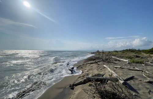 Il canto della pineta - Foto 31