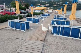 Aenaon Corfu Luxury Apartments #02 - Artemis Apartment - Photo 29