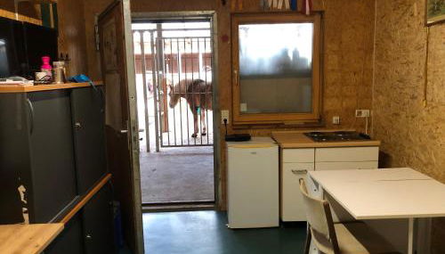 Reitschule Kronwitter - Foto 4