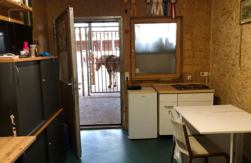 Reitschule Kronwitter - Foto 4