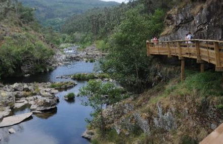 CRASTO PAYVA DOURO NATURE - Foto 50