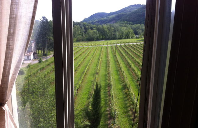 Corte San Ruffillo-Azienda Agrituristica - Foto 36