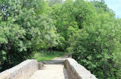 La Garzona - Foto 35