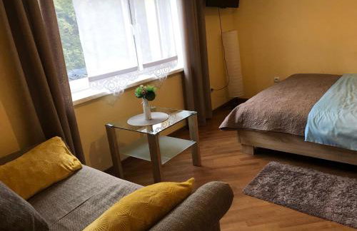 Apartamenty Milówka Centrum - Photo 6