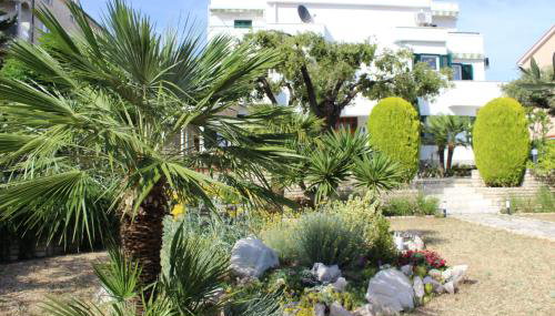 Apartments Čuljak Rab - Photo 4, Garden, Garden view