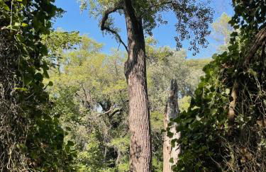 Idyllic Riverside Provencal Farmhouse - Foto 13