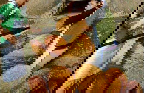 Tour privado de 3 días por Toro Toro, Itas y Valle Alto - Foto 4