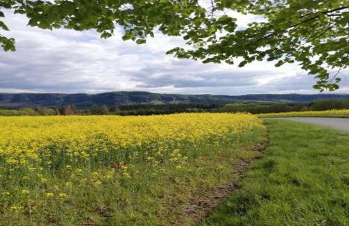 Gemütliches Ferienhaus in Sebnitz - Photo 37