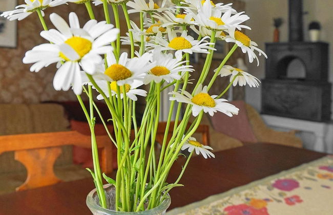 Seaside Charm on Orust Island-by Traum - Foto 3