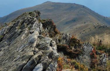 Apartamenty U Pana Jana - Foto 44