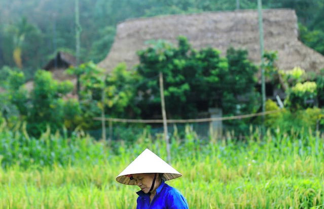 Thai House Pu Luong - Foto 44