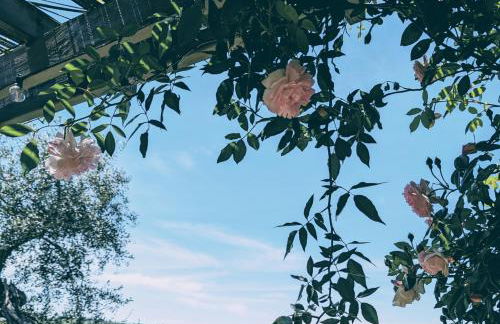 Podere Spedalone - Foto 54