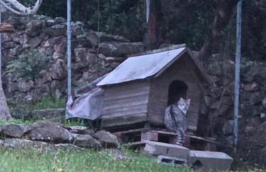 Villa Saint-Michel - Foto 37