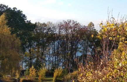 PONTUS Ferienwohnung FeWo2 - Foto 27