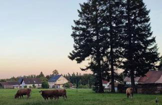 Chickenhill Blackforest, große Ferienwohnung im Schwarzwald - Foto 30