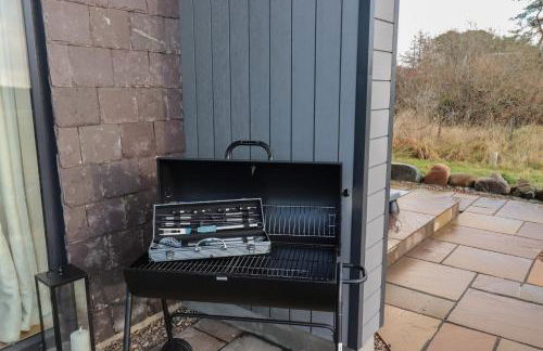 Red Squirrel - Foto 24