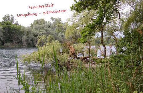 FeWoFreiZeit - Foto 25