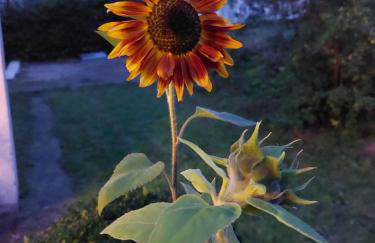 Ferienwohnung Haus Waldblick - Photo 11