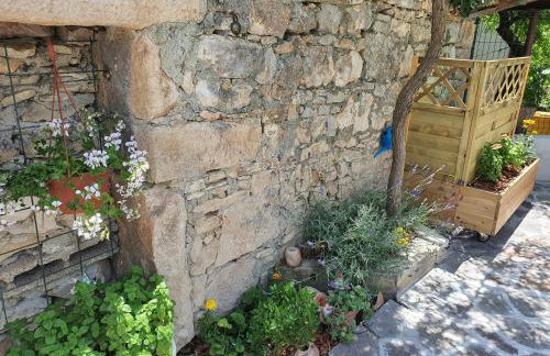 Kuća za odmor Žinžula - Foto 24