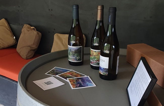 Terrabona Nature & Vineyards - Foto 37