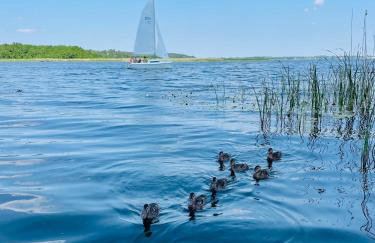 Domek holenderski Hampton - Foto 39