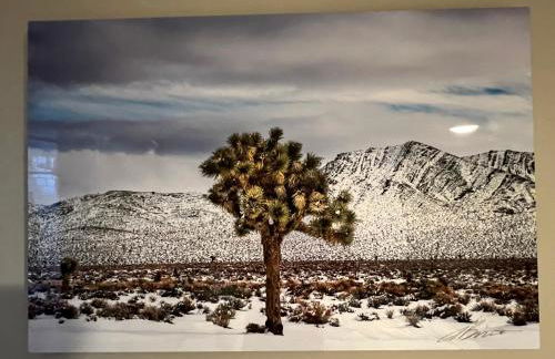 Chic Venice Beach Bungalow Steps from the Canals & Beach - Foto 35