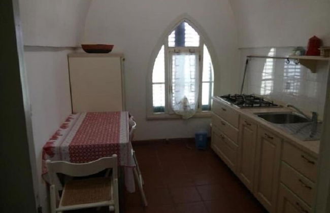 Gecko's House - Foto 9