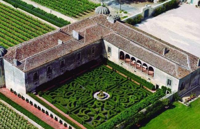 Arrabida and Bacalhoa Wine Tasting Private Tour from Lisbon - Photo 5