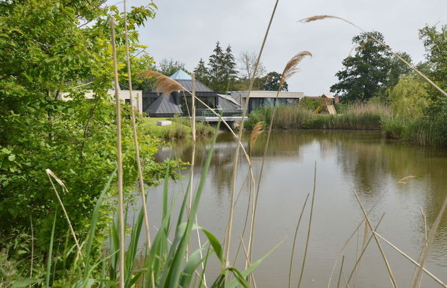 Lovely Holiday Home 'walleken' With a Pond - Foto 28