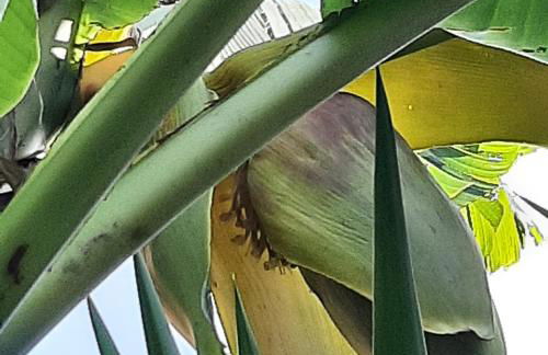 Dal Moro 44 - Foto 60