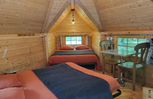 Le Domaine Insolite de Brocéliande - Foto 78