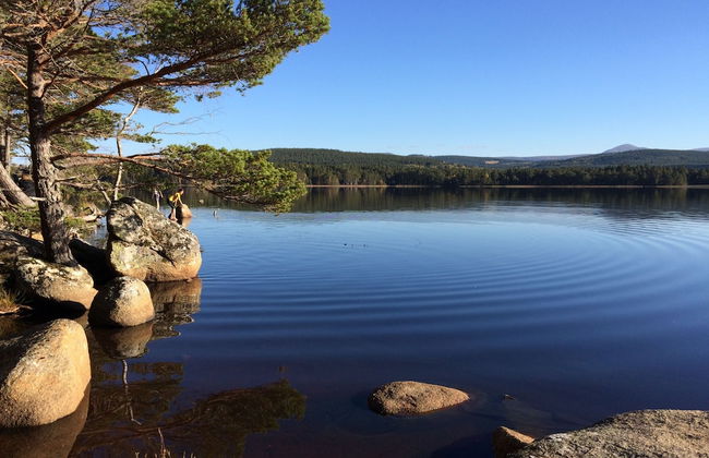 The Dell of Abernethy - Photo 70