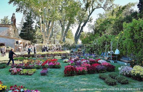 Villa 3 étoiles et 3 épis les Flamants roses - Foto 17