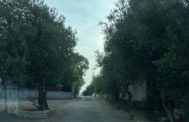 MIA mobile home with jacuzzi - Photo 47