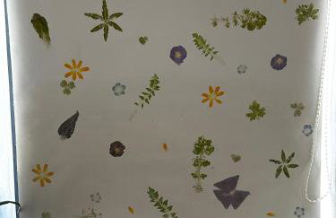 Little Linney - Sleeps 2 - Garden - Wifi - Parking - Photo 11