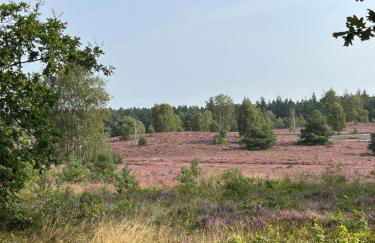 BigOak Wintermoor Schneverdingen - Foto 17