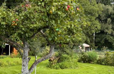 Sunlit Garden - Ruhig am Wald nahe Warnow Rostock - Kamin - Foto 18