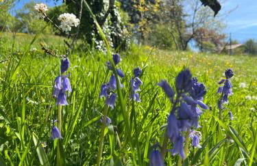 La Colline de Tilleul - De La Colline 4 STAR RATED - Beautiful Cottage Near Aubeterre - Foto 52
