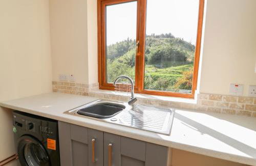 Ploony Hill Cabin - Foto 11