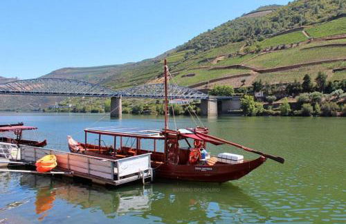 casa dos Ferreira no Douro - Foto 21