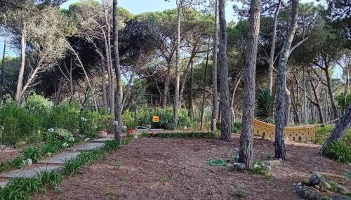 Casa da Âncora - Foto 2, Garden view