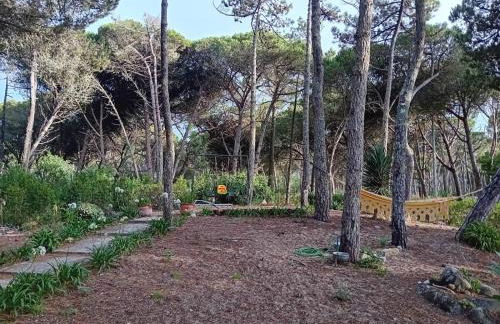 Casa da Âncora - Foto 2