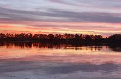 Deichkrone-Rees - Photo 33