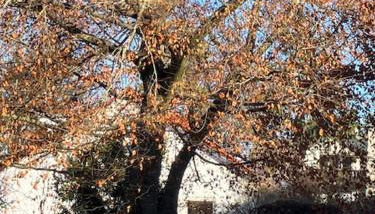 Ferienwohnung Götz - Foto 4