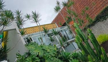 Studio Andaluz - Foto 5