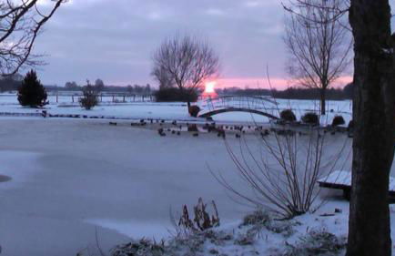 Austernfischer - Photo 10