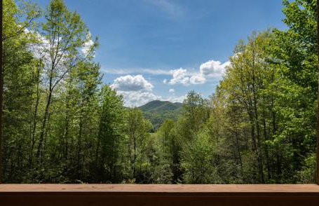 Quiet Haven Mountain Top Cabin - 3 Bedroom Cabin with Breathtaking Views - Foto 25