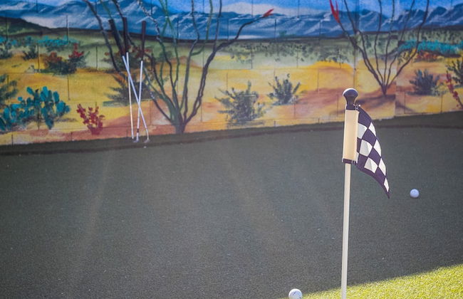 Ocotillo Glendale - Foto 42