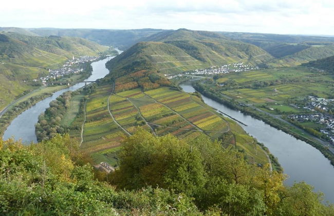 Casa Calmont - Foto 25