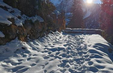 Orchidea Suite Apartments - Foto 13